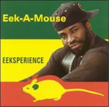 Eeksperience cover picture