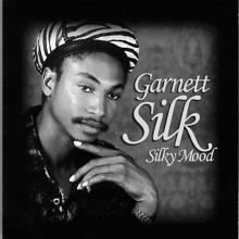 Silky Mood cover picture
