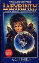 Labyrinth cover picture