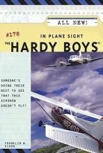 In Plane Sight book cover
