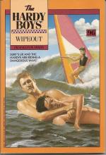 Wipeout book cover