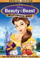 Belle's Magical World cover picture
