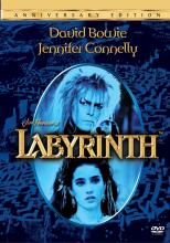 Labyrinth cover picture