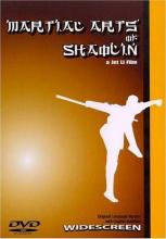 Martial Arts of Shaolin cover picture
