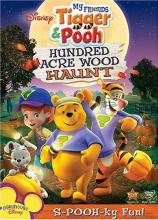 My Friends Tigger and Pooh the Hundred Acre Wood Haunt cover picture