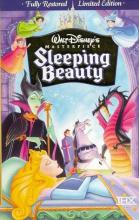 Sleeping Beauty cover picture