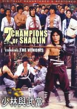 Two Champions Of Shaolin cover picture