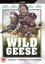 Wild Geese cover picture
