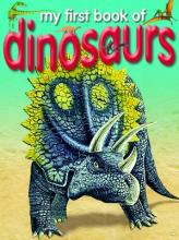 My First Book of Dinosaurs cover picture