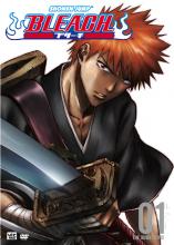 Bleach Season 1: The Substitute cover picture