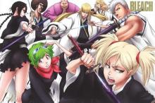 Bleach Season 11: The Past cover picture