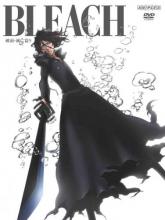 Bleach Season 14: The Arrancar 5: Downfall cover picture