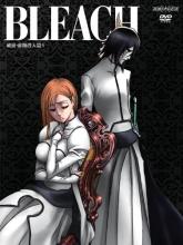 Bleach Season 7: The Hueco Mundo cover picture