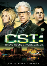CSI Season 13 cover picture