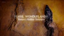 Fossil Wonderlands Nature's Hidden Treasures cover picture