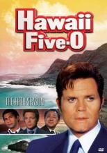 Hawaii Five-O Season 5 cover picture