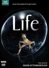 Life cover picture