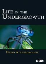 Life in the Undergrowth cover picture