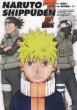 Naruto Shippuden Season 9 cover picture