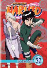 Naruto Volume 30 cover picture