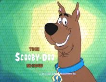 The Scooby Doo Show Season 1