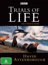 Trials of Life cover picture