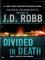 Divided In Death cover picture