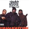 19 Naughty III cover picture