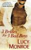 3 Brides for 3 Bad Boys book cover