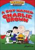 A Boy Named Charlie Brown cover picture