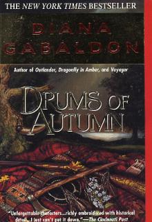 Drums Of Autumn cover picture