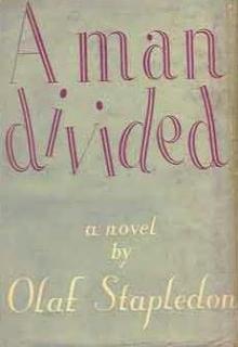 A Man Divided cover picture
