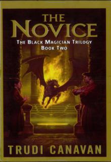 The Novice cover picture