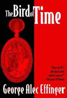 Bird Of Time cover picture