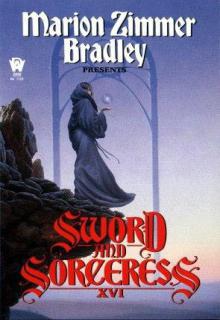 Sword And Sorceress XVI cover picture