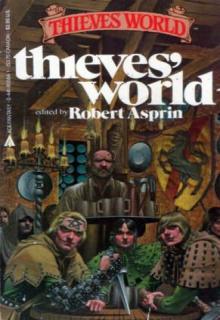 Thieves World cover picture
