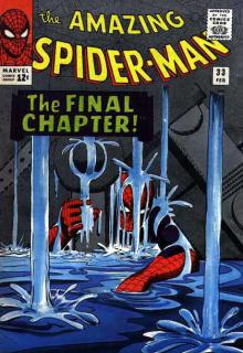 The Final Chapter cover picture