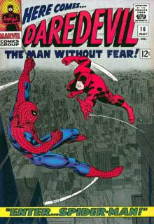 Enter Spiderman cover picture