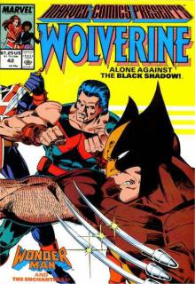 Marvel Comics Presents 042 cover picture