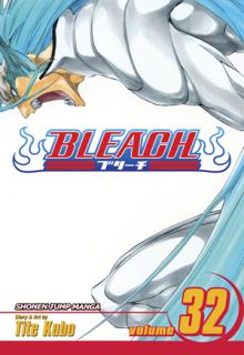 Bleach Volume 32 cover picture