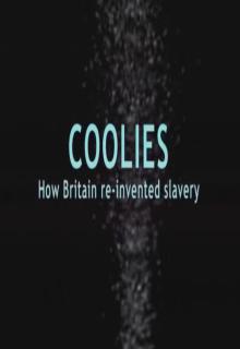 Coolies: How Britain Re-invented Slavery cover picture