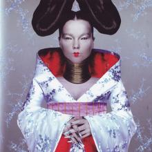 Homogenic cover picture