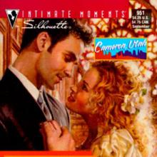 The Marriage Protection Program cover picture
