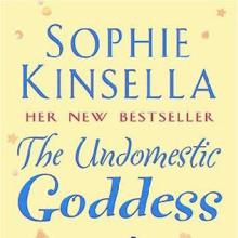 The Undomestic Goddess cover picture
