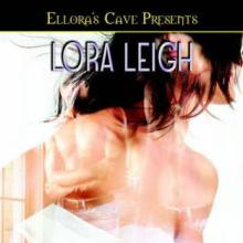 Heather's Gift cover picture