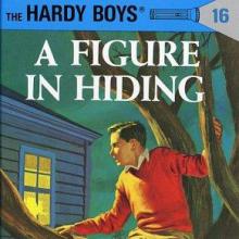 A Figure in Hiding cover picture