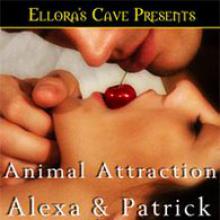 Animal Attraction cover picture
