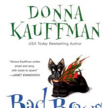 Bad Boys In Kilts cover picture