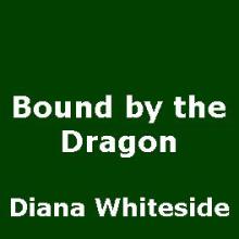 Bound By The Dragon cover picture