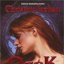 Dark Fire cover picture